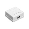 Розетка внешняя двойная EXEGATE SM2-RJ45-C5 RJ-45 кат.5/5E UTP Krone 110 EX292843RUS